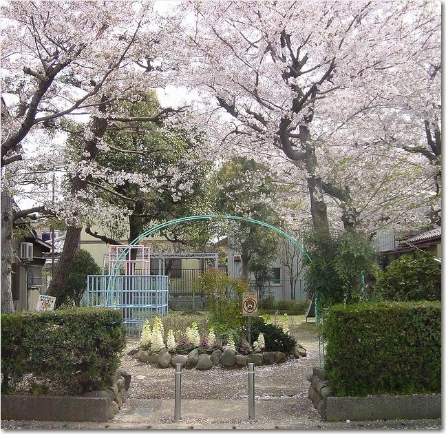 30桜小公園