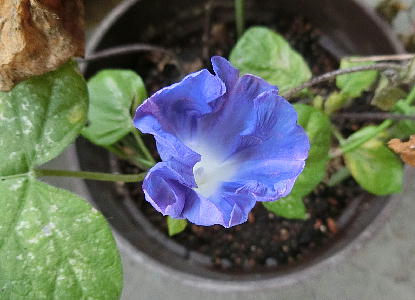 9 18.JPG