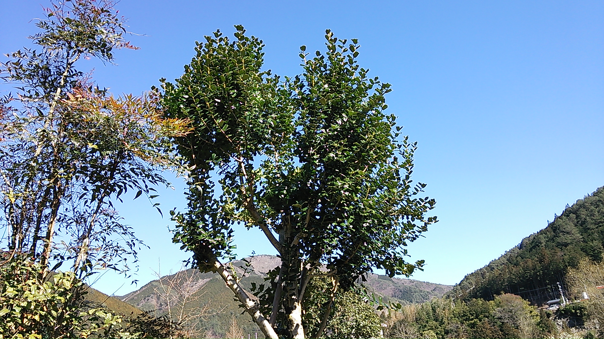 DSC_0065.JPG
