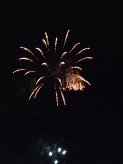 猪名川花火大会2012 散る花火と上がる花火.jpg