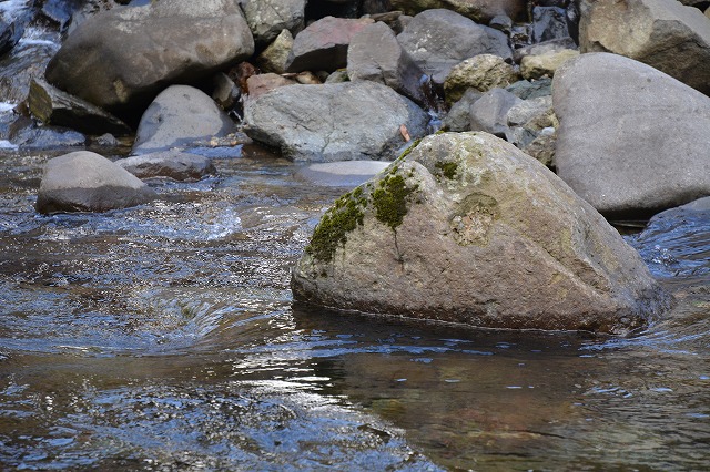 showPhoto (640×426)