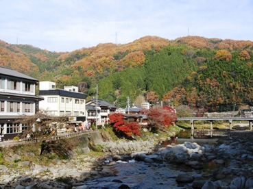 14¡¡¶¶¤«¤鸫¤¨¤ë·ʿ§.jpg