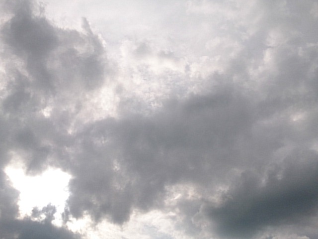 20151011  DSC_0004.jpg