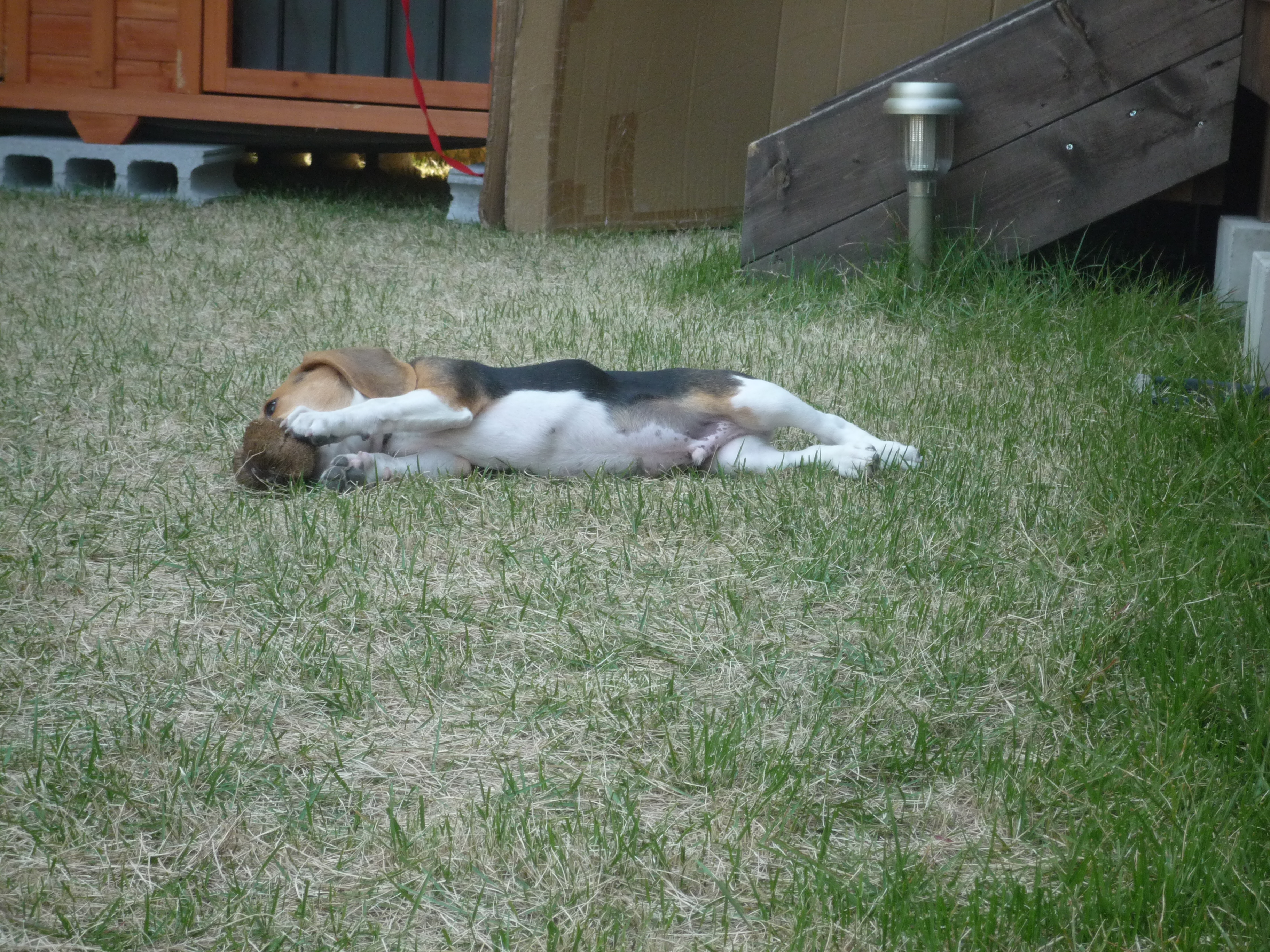 P1030029.JPG