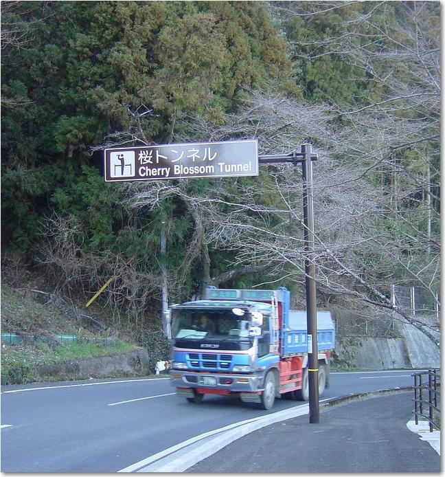 23桜トンネルダンプ道.JPG