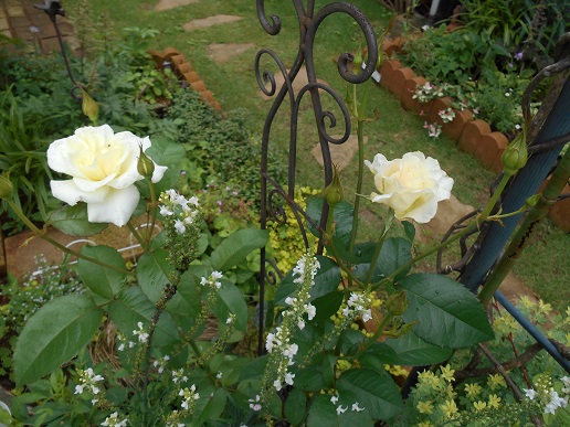 DSCN1302a.JPG