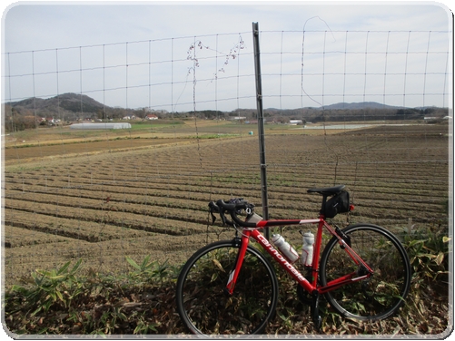 2452高北広域農道の沿線風景_2452.jpg