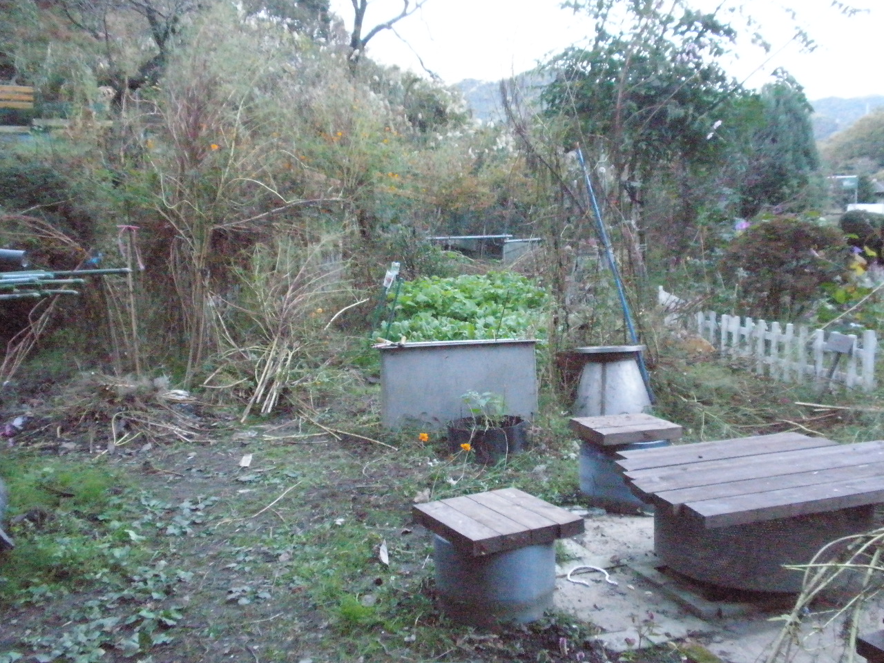PB121519.JPG