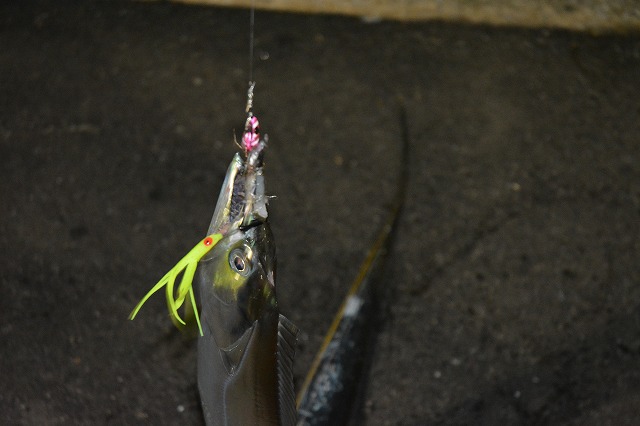 showPhoto (640×426)