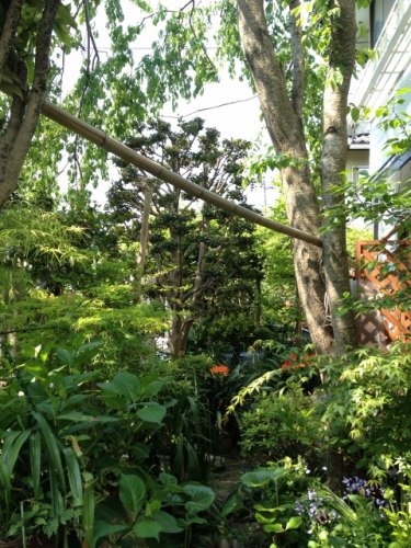 IMG_7001 (480x640).jpg