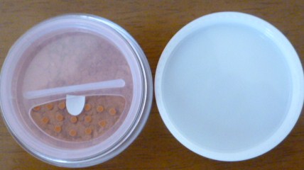 lyliloloﾘﾋﾟﾘﾋﾟ２.JPG