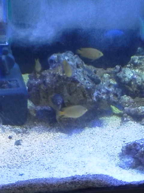 DSC_2565.jpg
