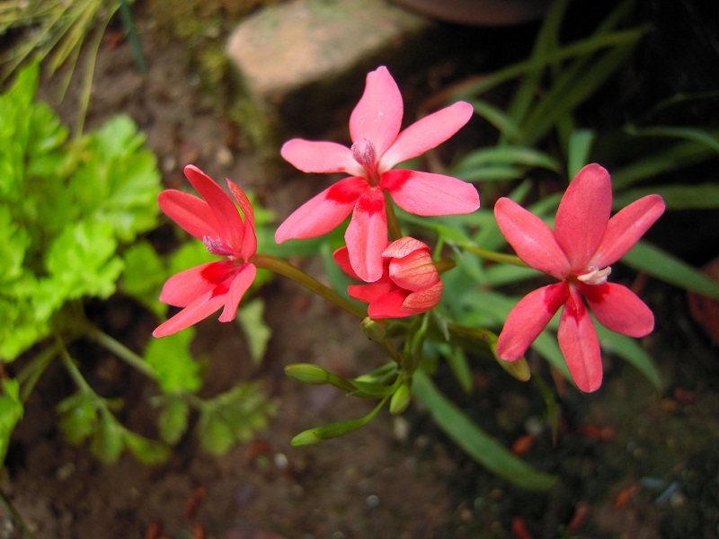 DSCN6889.JPG