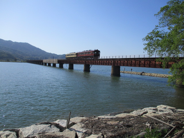 由良川を渡るあかまつ2