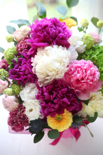 pink8800-173.jpg