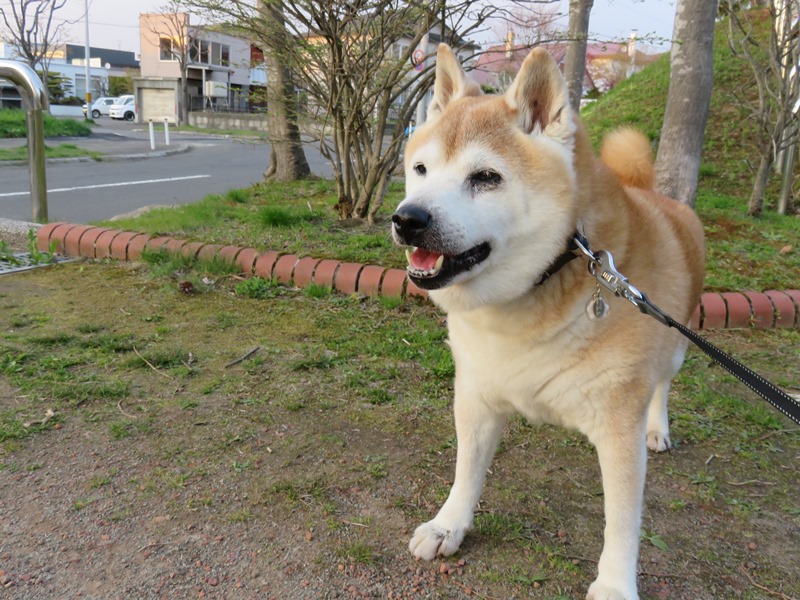 2気持ちいいね.jpg