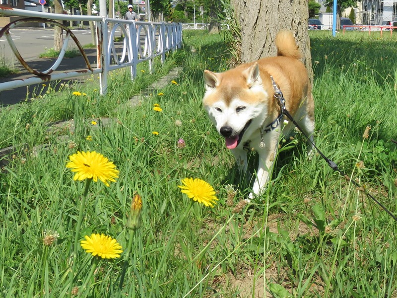 2あぢー.jpg