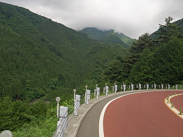 DSC_0113.jpg