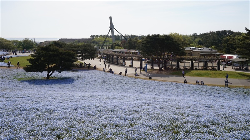 20150430 08090101.JPG