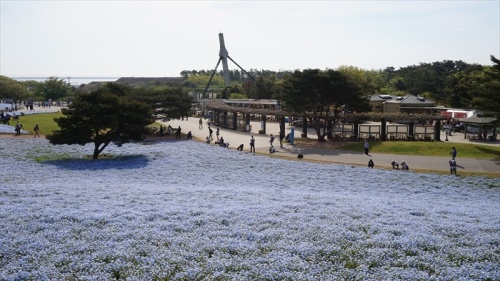 20150430 08090101.JPG