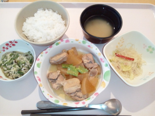 鶏肉と大根の煮物