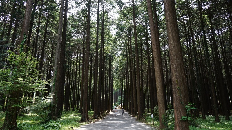 20150525 10505701.JPG