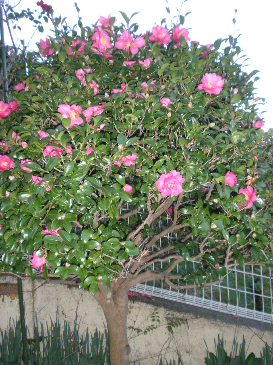 PB151528.JPG