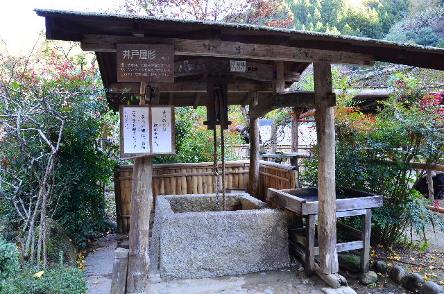 DSC_1661.JPG