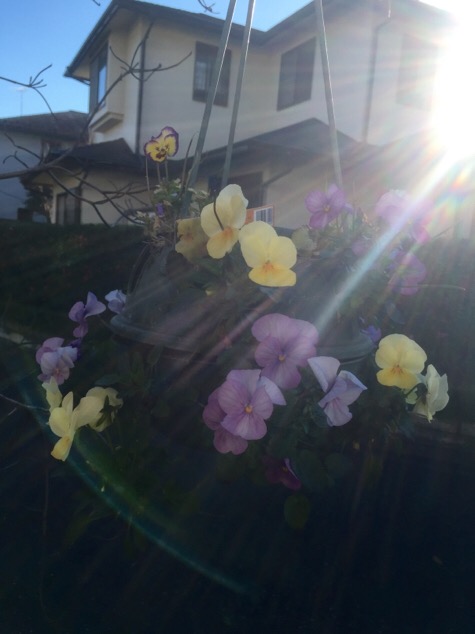 201512182119_7181_iphone.jpg