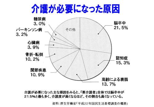 介護が必要になった原因.jpg