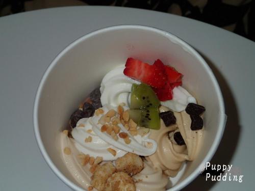 yogurt land3.JPG