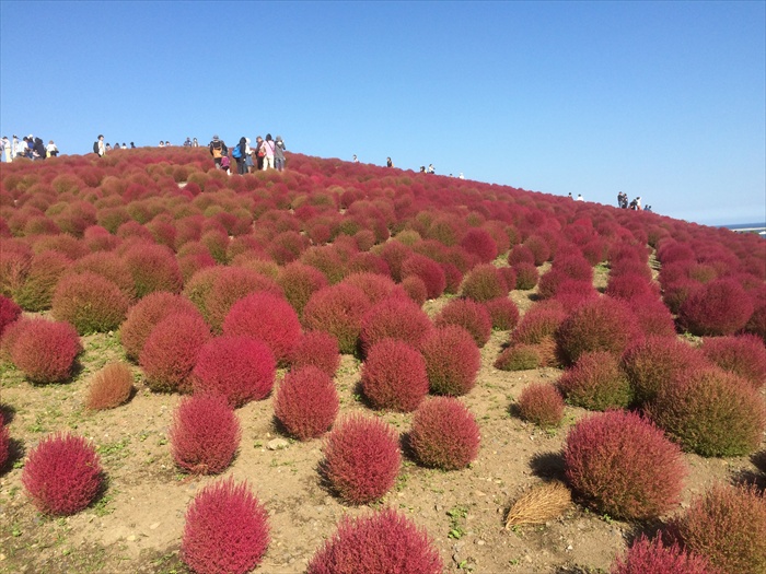 20151014 13542301.jpg