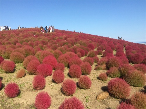 20151014 13542301.jpg