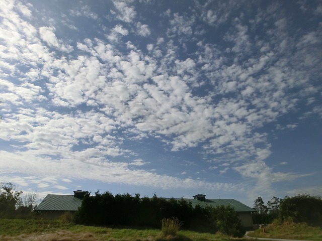 fall sky.jpg