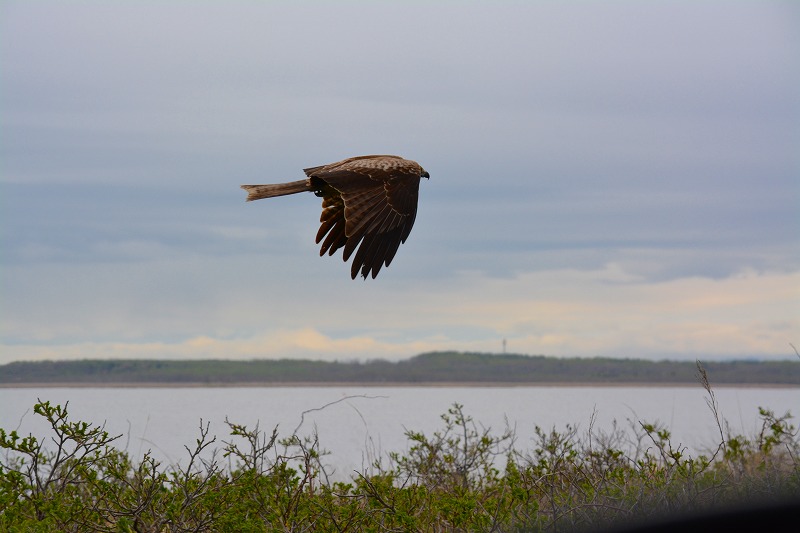 DSC_0021.jpg