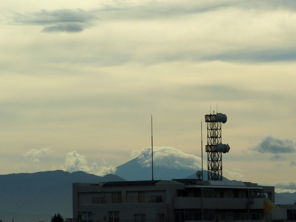 P1460030-1.JPG