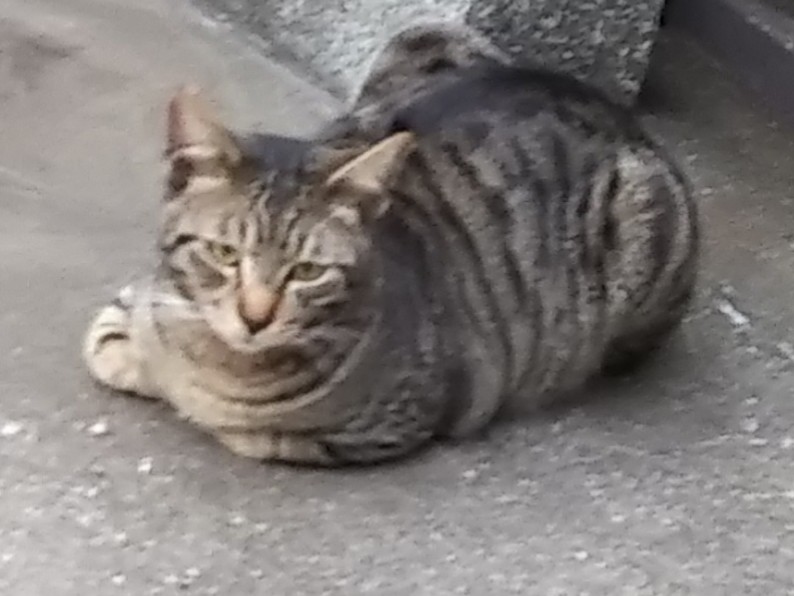 ここは俺の街だ！2019