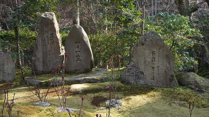 20160323 15332801.JPG