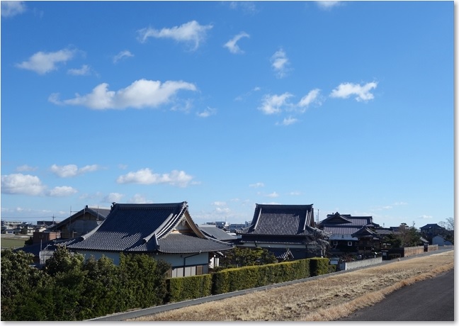 53左のなんだかすごい家並み