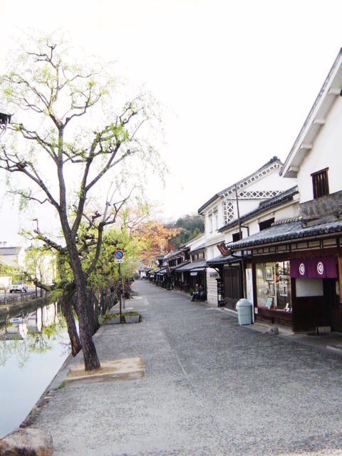 DSC06970.JPG