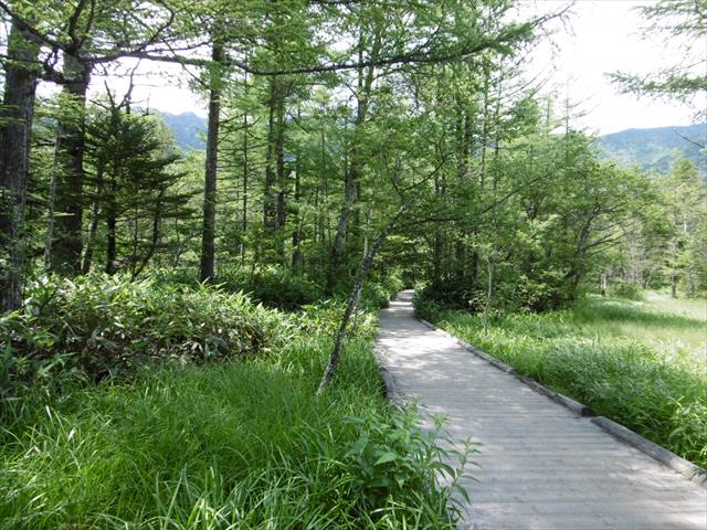 P1250122_R.JPG