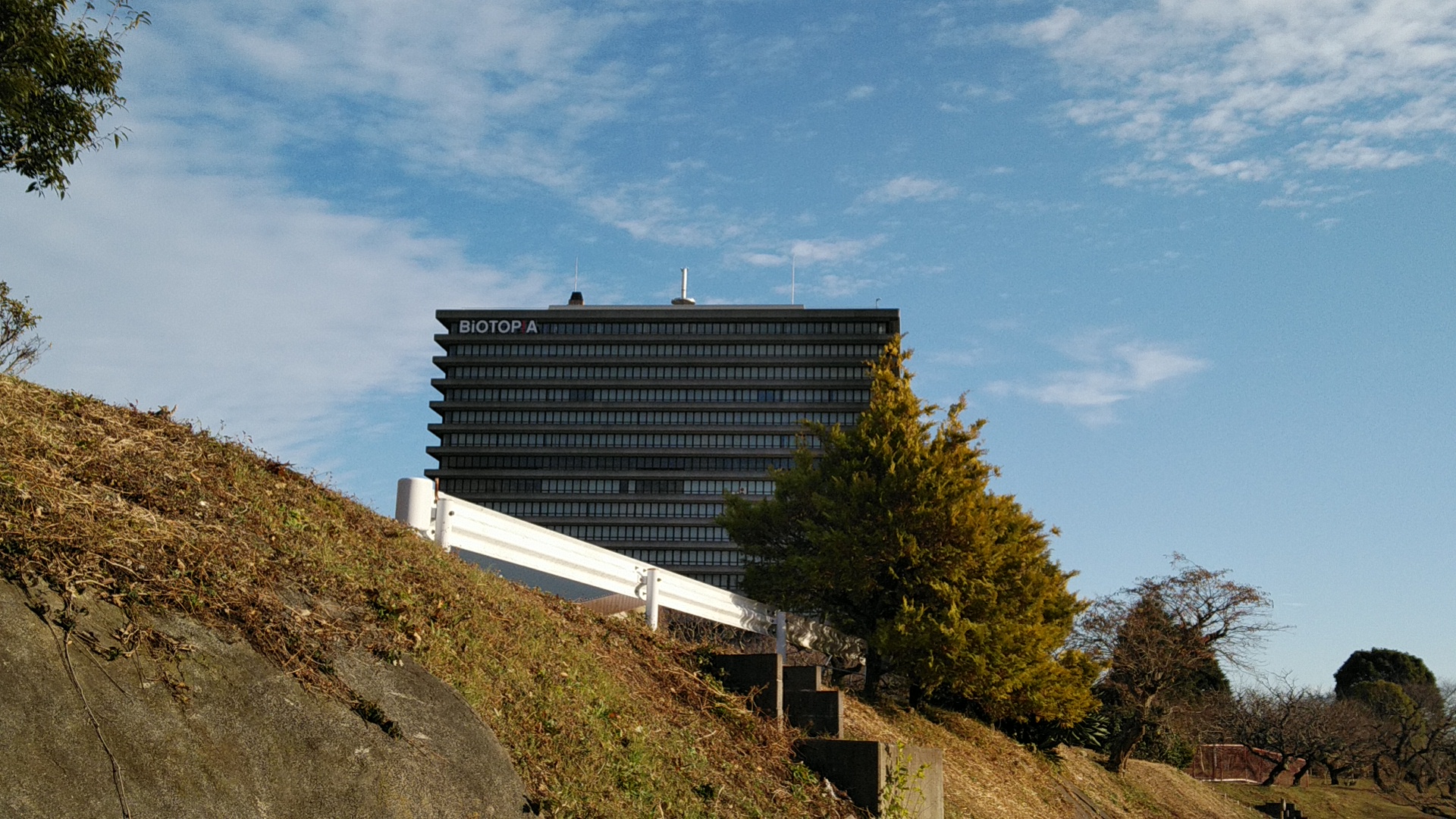 20200106  DSC_0003.jpg.jpg