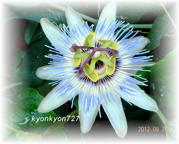 DSCN9061.jpg