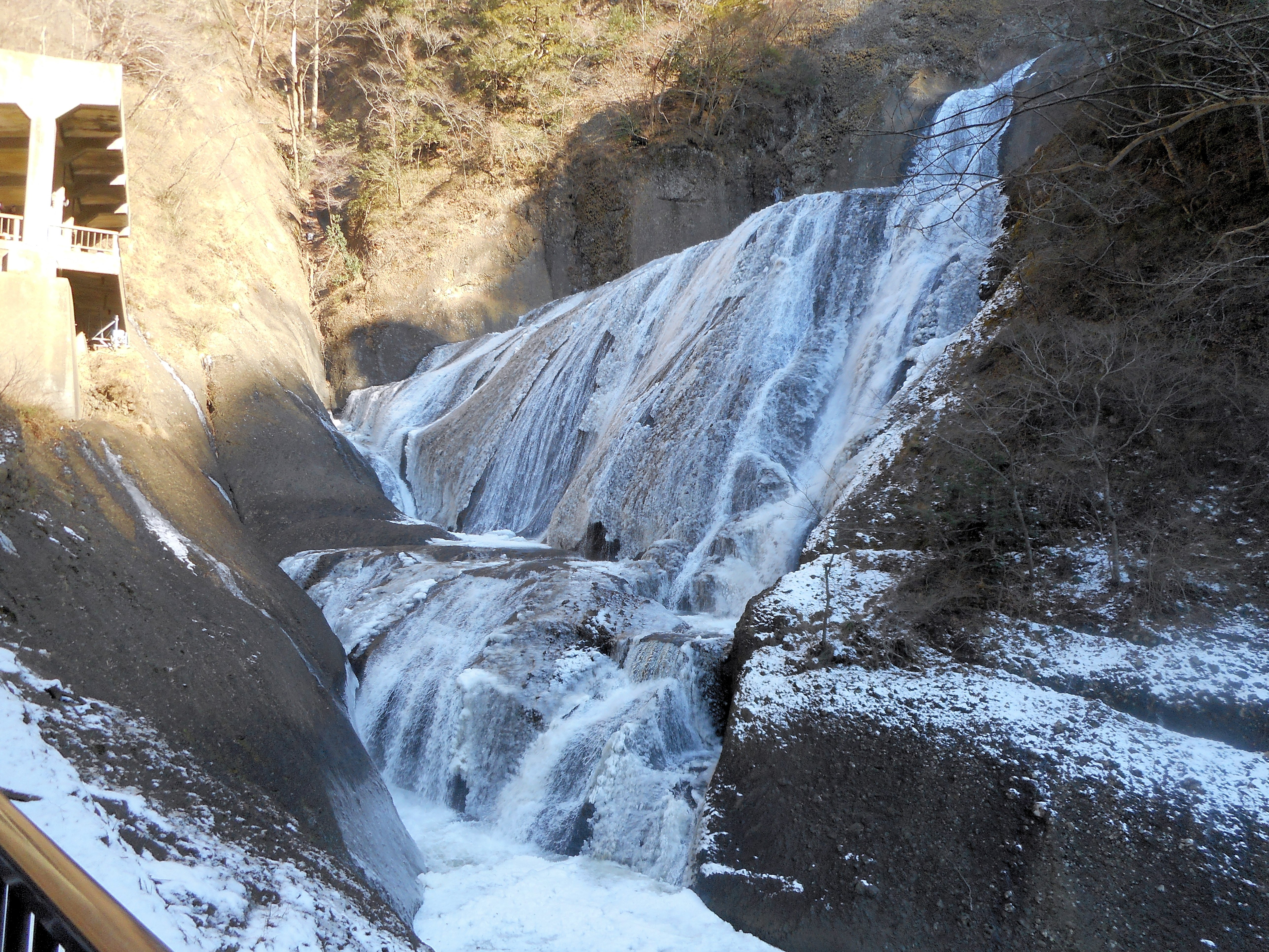 DSCN1482.JPG
