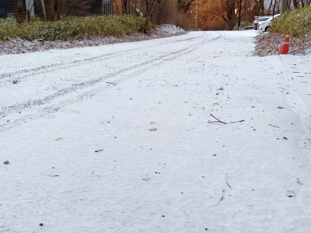 241215road.jpg