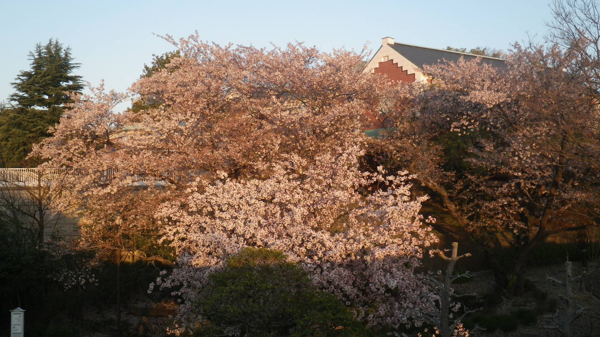 IMGP0007.JPG