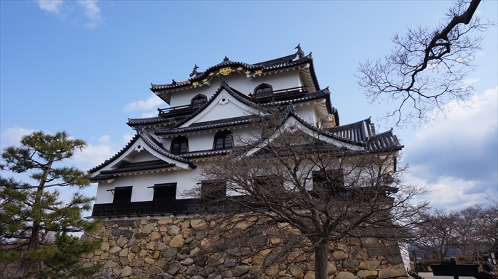 20160324 09030301.JPG