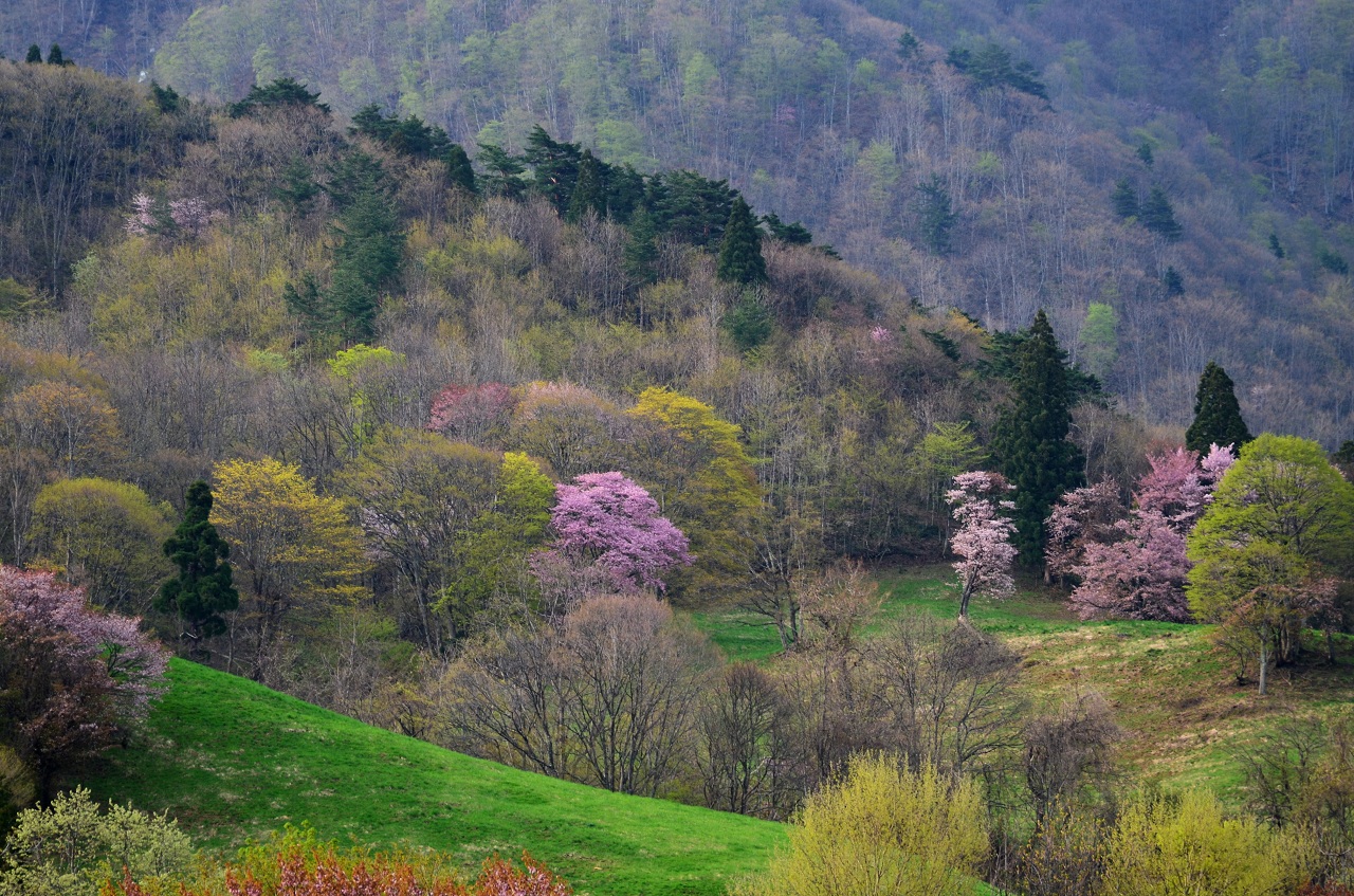 DSC_2680.JPG