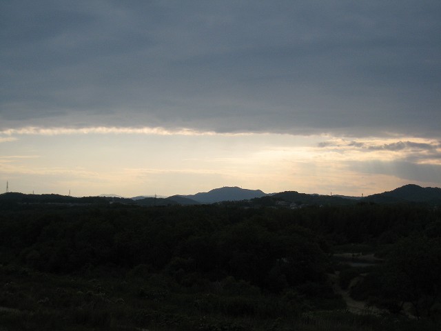 IMG_3996.jpg