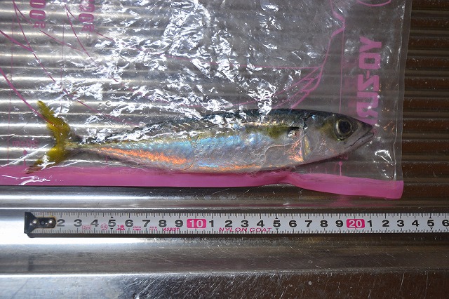 showPhoto (640×426)